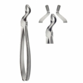 1001 AMERICAN EXTRACTIVE FORCEP